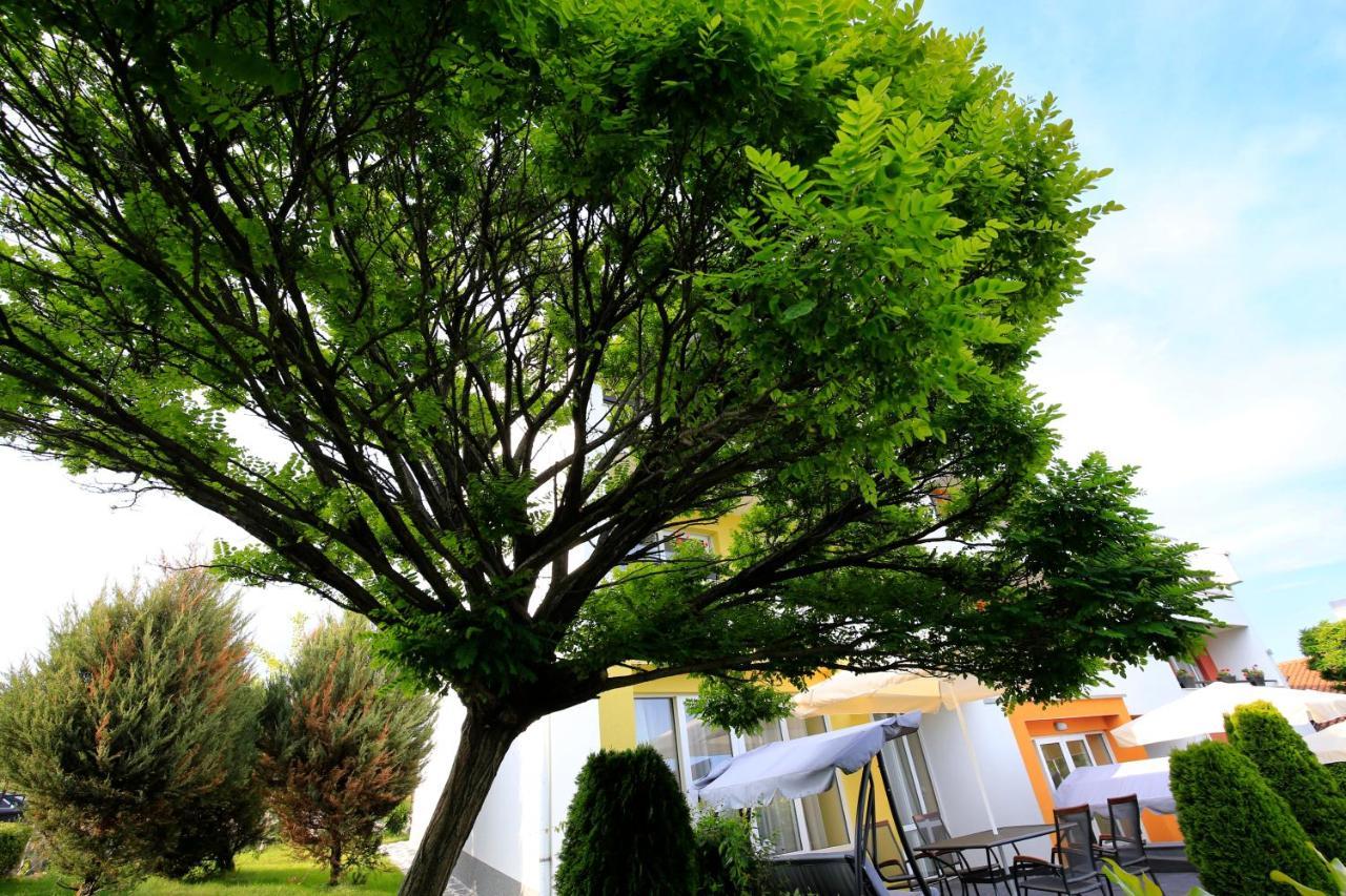 Stayinn Rainbow Houses Beachfront By Asteri Hotels Sunny Beach Exterior foto